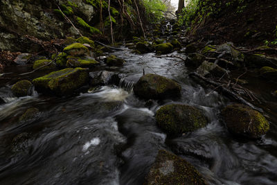 Stream flowing through rocks in forest