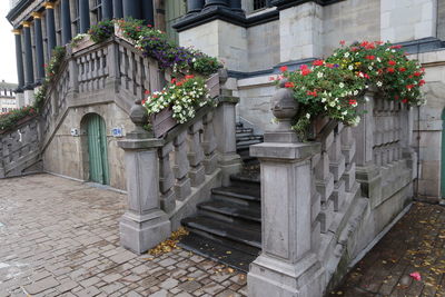 Potted plants on footpath by building