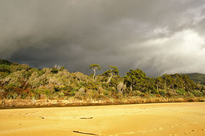 Scenic view of beach against cloudy sky