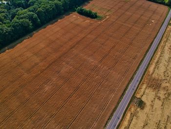 High angle view of agricultural field