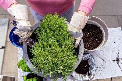 Midsection of woman gardening