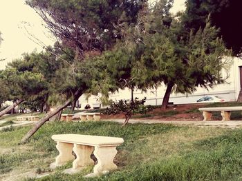 Trees by swimming pool against sky