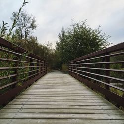 Narrow wooden footbridge along plants