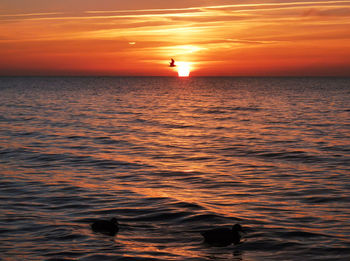 Scenic view of sea against orange sky