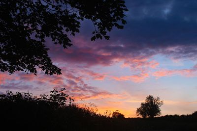 Low angle view of silhouette trees against sky during sunset