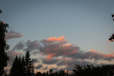Low angle view of silhouette trees against sky during sunset