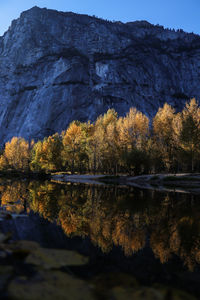 Plants growing on rock by lake against sky