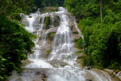 Scenic view of waterfall in forest