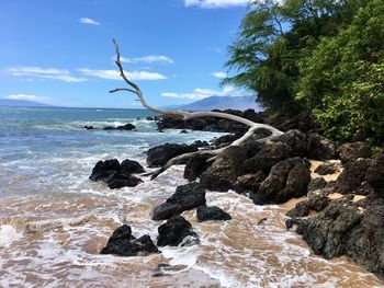 Rocks in sea against sky hawaii