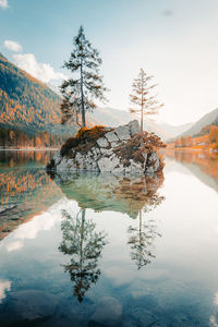 Reflection of tree in lake against sky