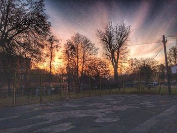 Bare trees at sunset