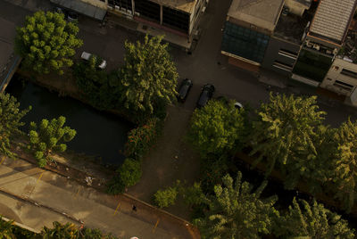 High angle view of potted plants