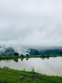 Scenic view of lake against sky