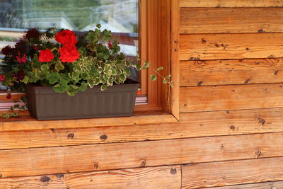 Potted plants on wooden table