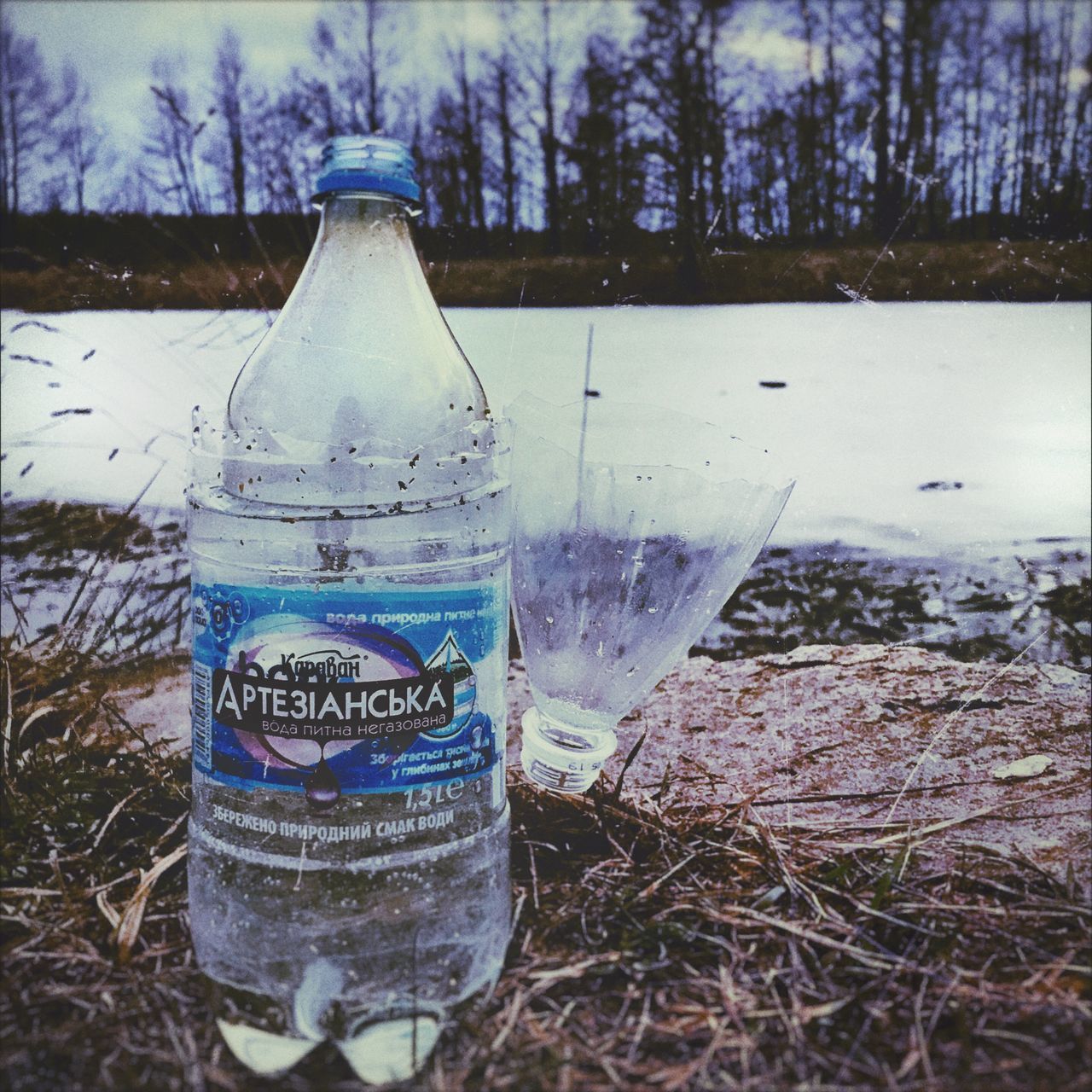 nature, plant, tree, text, bottle, western script, water, container, communication, day, no people, land, cold temperature, field, winter, outdoors, drink, close-up, glass - material, glass, message