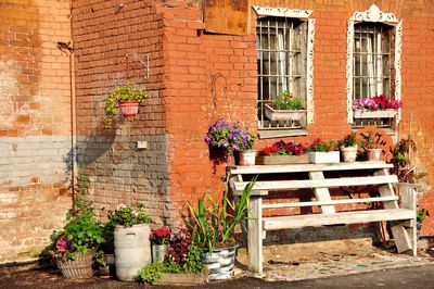 Flower pots outside house