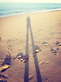 Scenic view of beach