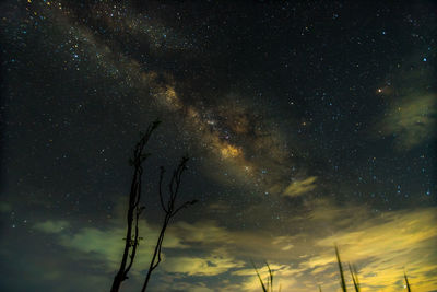 Low angle view of milky way at night