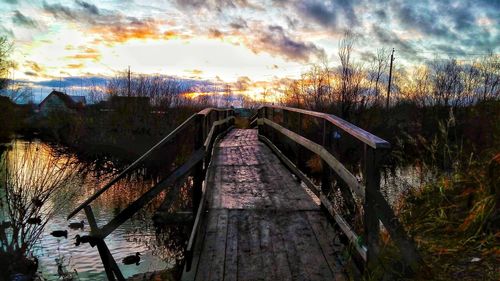 Panoramic shot of autumn trees against sky