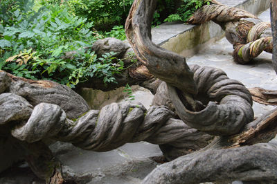 Close-up of sculpture on rock