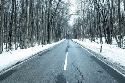 Road amidst bare trees during winter