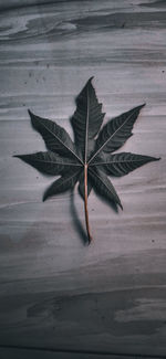 High angle view of dry leaves on table