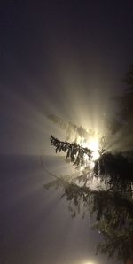 Silhouette tree against sky during sunset