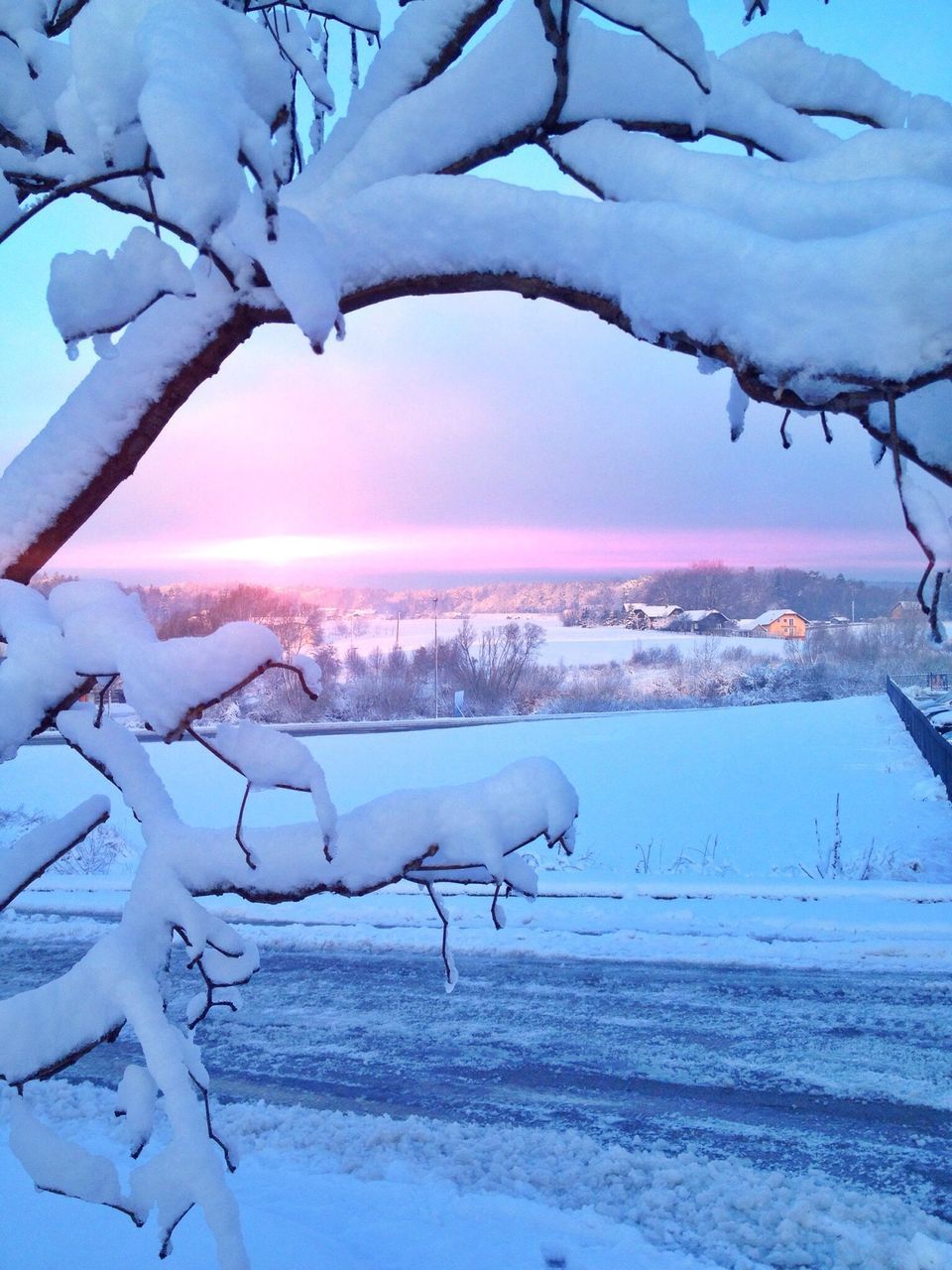 winter, snow, cold temperature, season, weather, covering, frozen, bare tree, landscape, branch, nature, sky, white color, building exterior, tree, tranquility, field, built structure, beauty in nature, covered