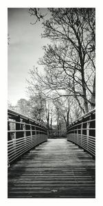 Bare trees in front of built structure