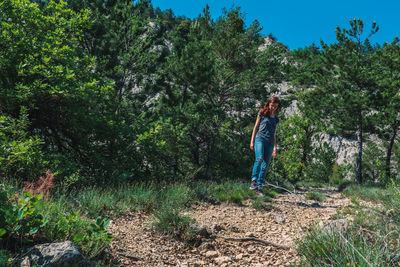 Man standing by tree in forest
