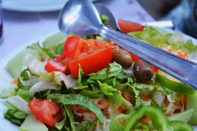 Close-up of fresh greek salad