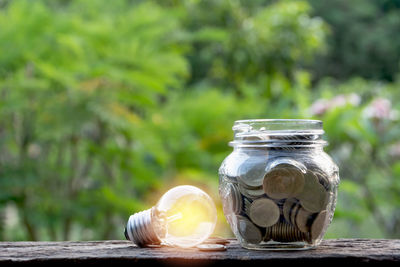 Close-up of seashell in jar on table