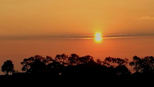 Silhouette trees by sea against orange sky