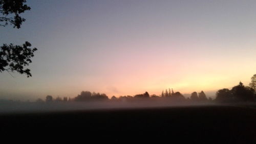 Silhouette trees on field against sky during sunset