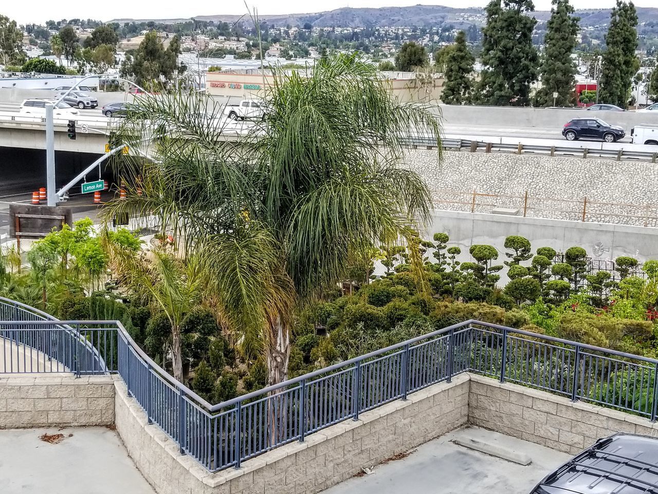 HIGH ANGLE VIEW OF TREES BY SWIMMING POOL IN CITY