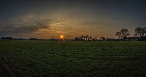 Scenic view of grassy field against sky at sunset