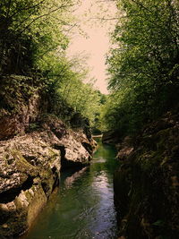 River flowing through rocks in forest