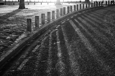 Row of trees in the dark