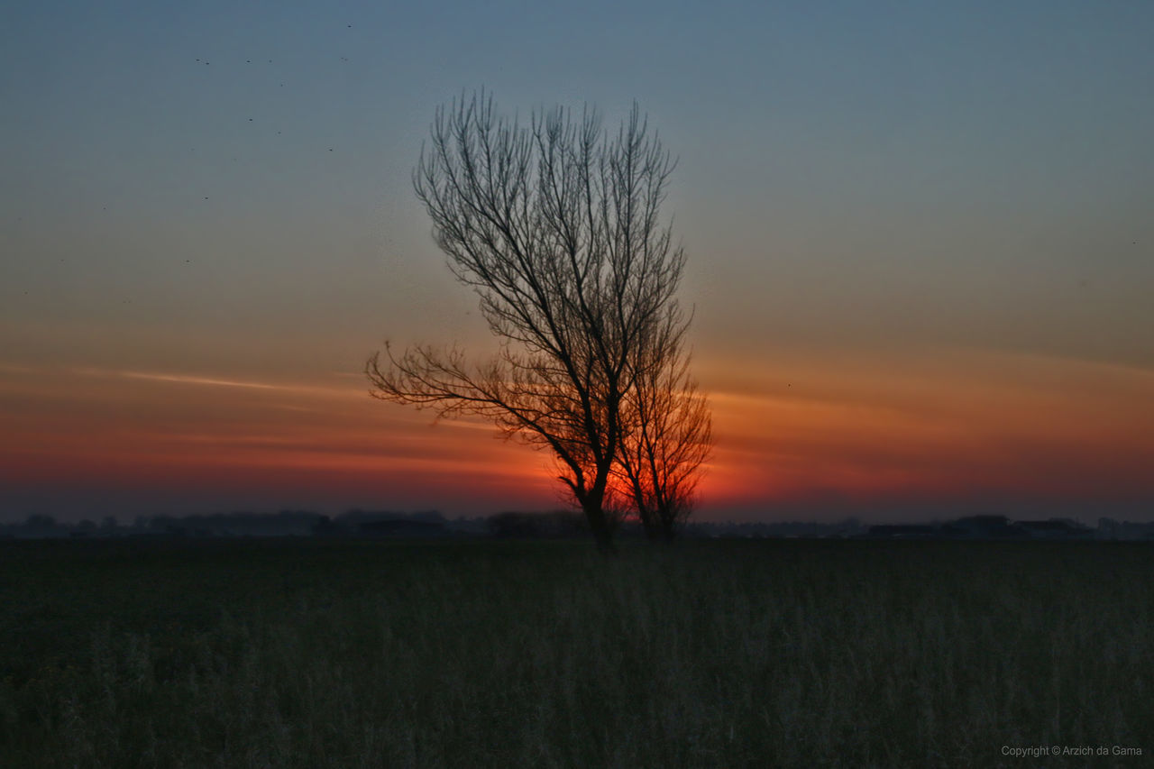 SUNSET OVER LANDSCAPE