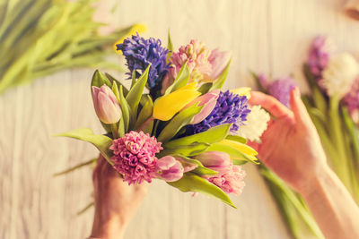 Close-up of pink flowering plant