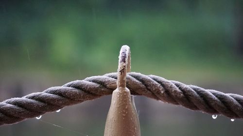 Close-up of rope on metal