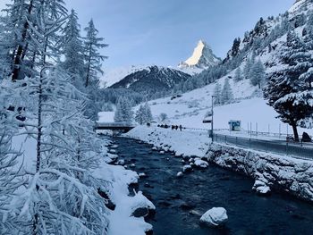 Snow covered plants and mountains against sky