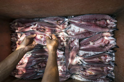 Midsection of man with fish