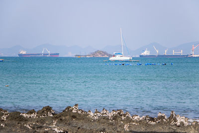 Sailboats in sea against clear sky