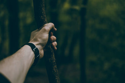 Close-up of hand holding tree trunk in forest