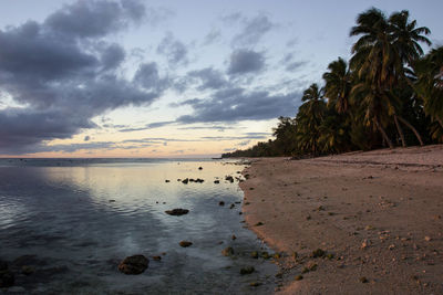 Sunset reflected in the water on the palm lined tropical beach in arorangi, rarotonga, cook islands.