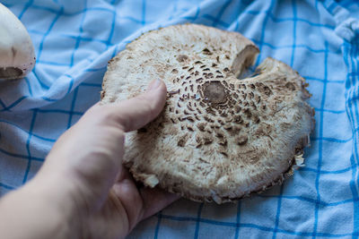 High angle view of hand holding bread