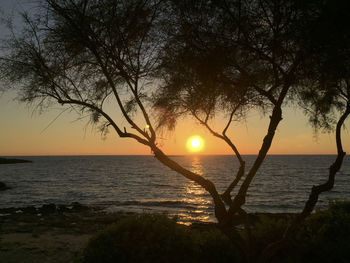 Silhouette tree by sea against sky during sunset