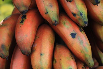 Close-up of red bananas at market stall