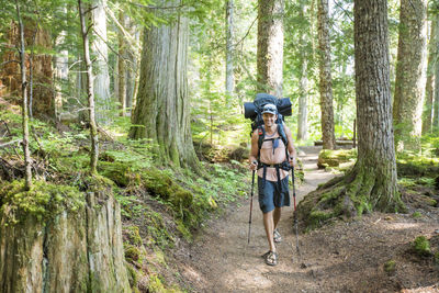Smiling backpacker hikes on path through old growth forest incanada.
